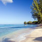 Beach at Coral Reef Club- Click to enlarge