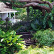 Coral Reef Club Accommodation- Click to enlarge