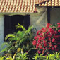 Garden Room/Cottage Exterior - Click to enlarge