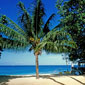 Beach at The Sandpiper - Click to enlarge